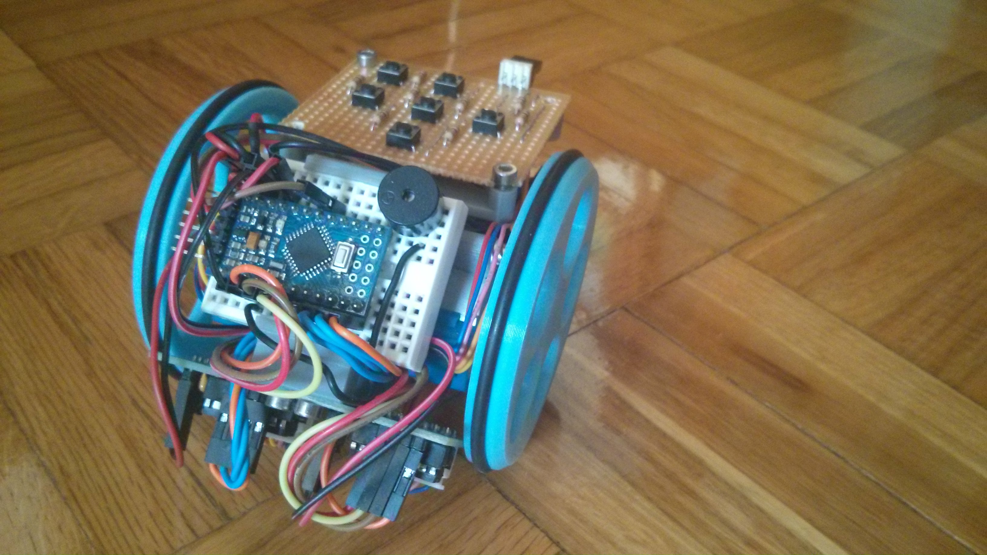 Scornabot Brivoi audacius